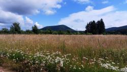 Vue sur les Puys des Gouttes et Chopine