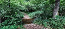 Gué ou passerelle sur la gauche