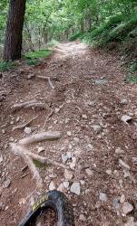 1ère montée raide, poussage probable