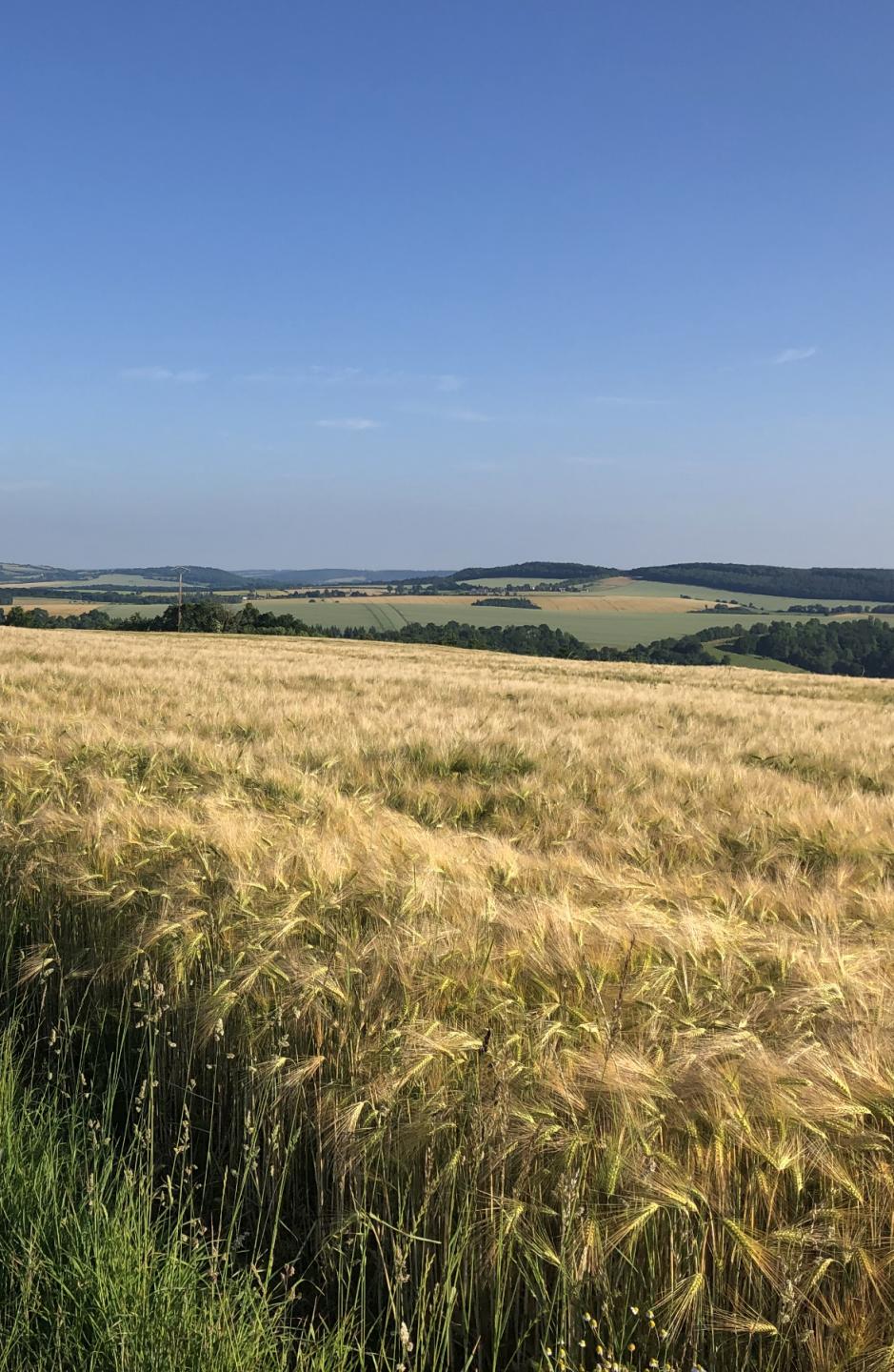 Les hauts de Curcy
