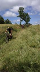 plateau de forane