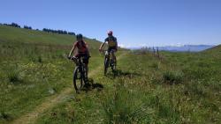 col de lière