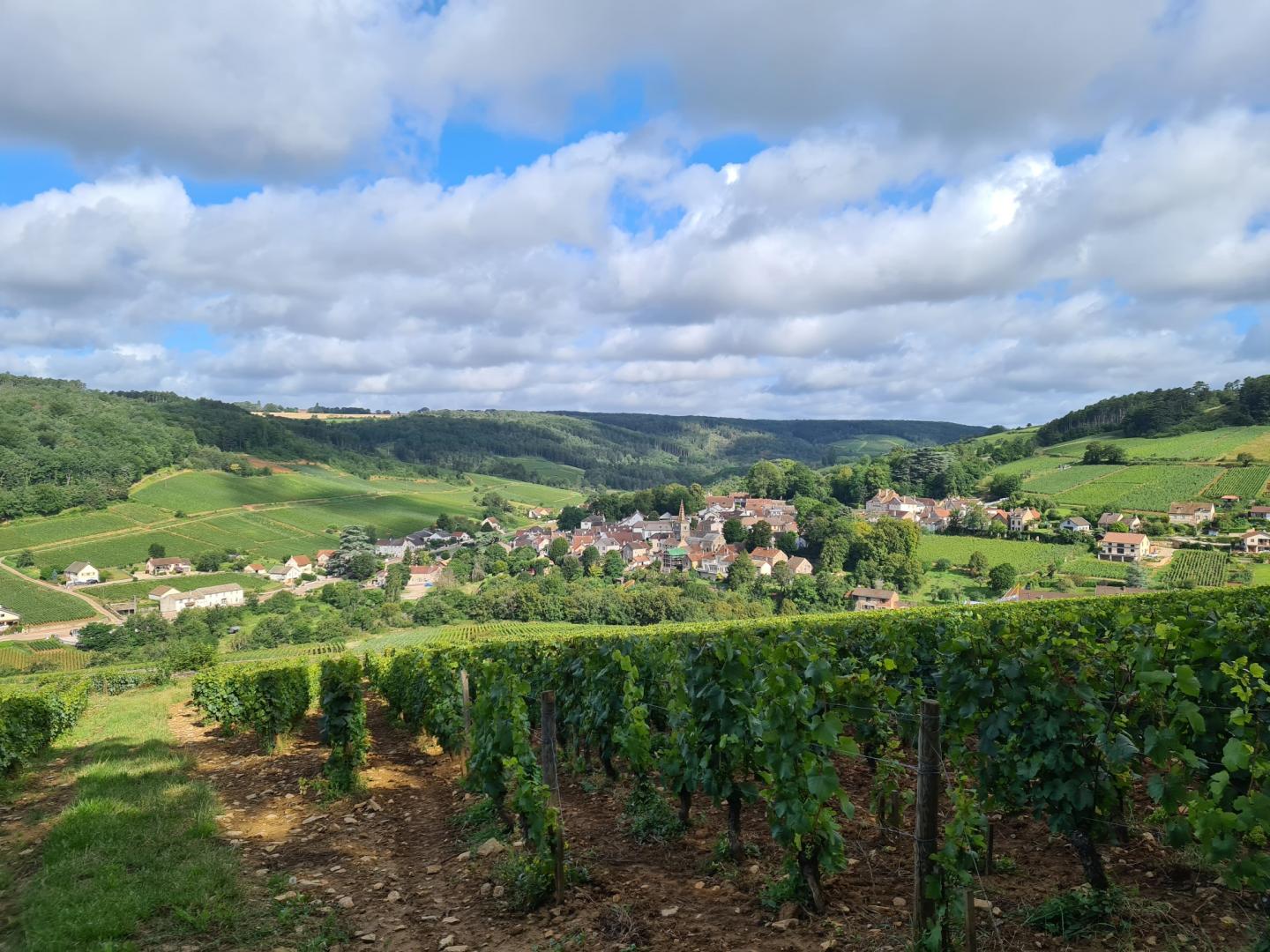 De Nuits-Saint-Georges à Pernand-Vergelesses - Retour par Fussey et Chevrey