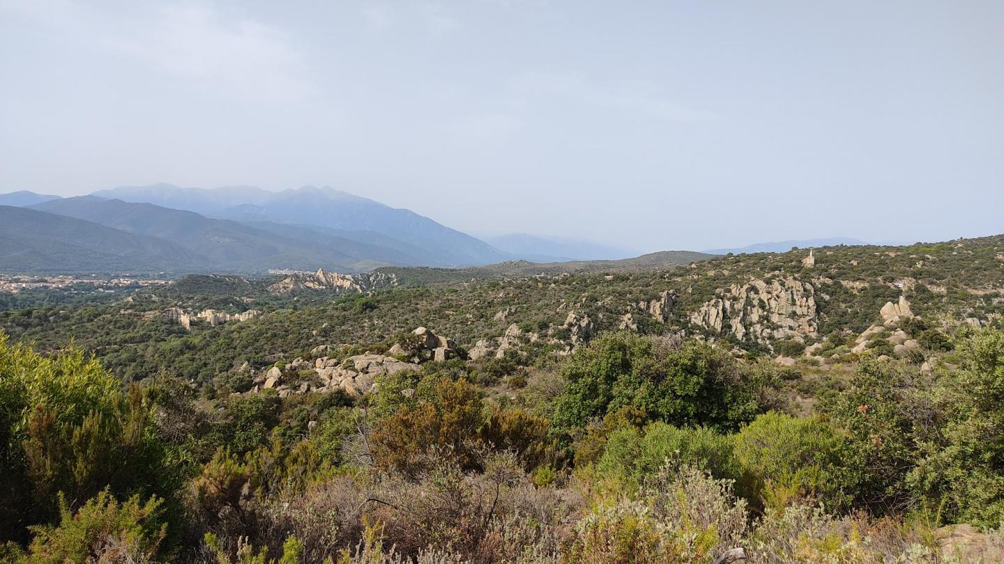 Un tour dans la garrigue