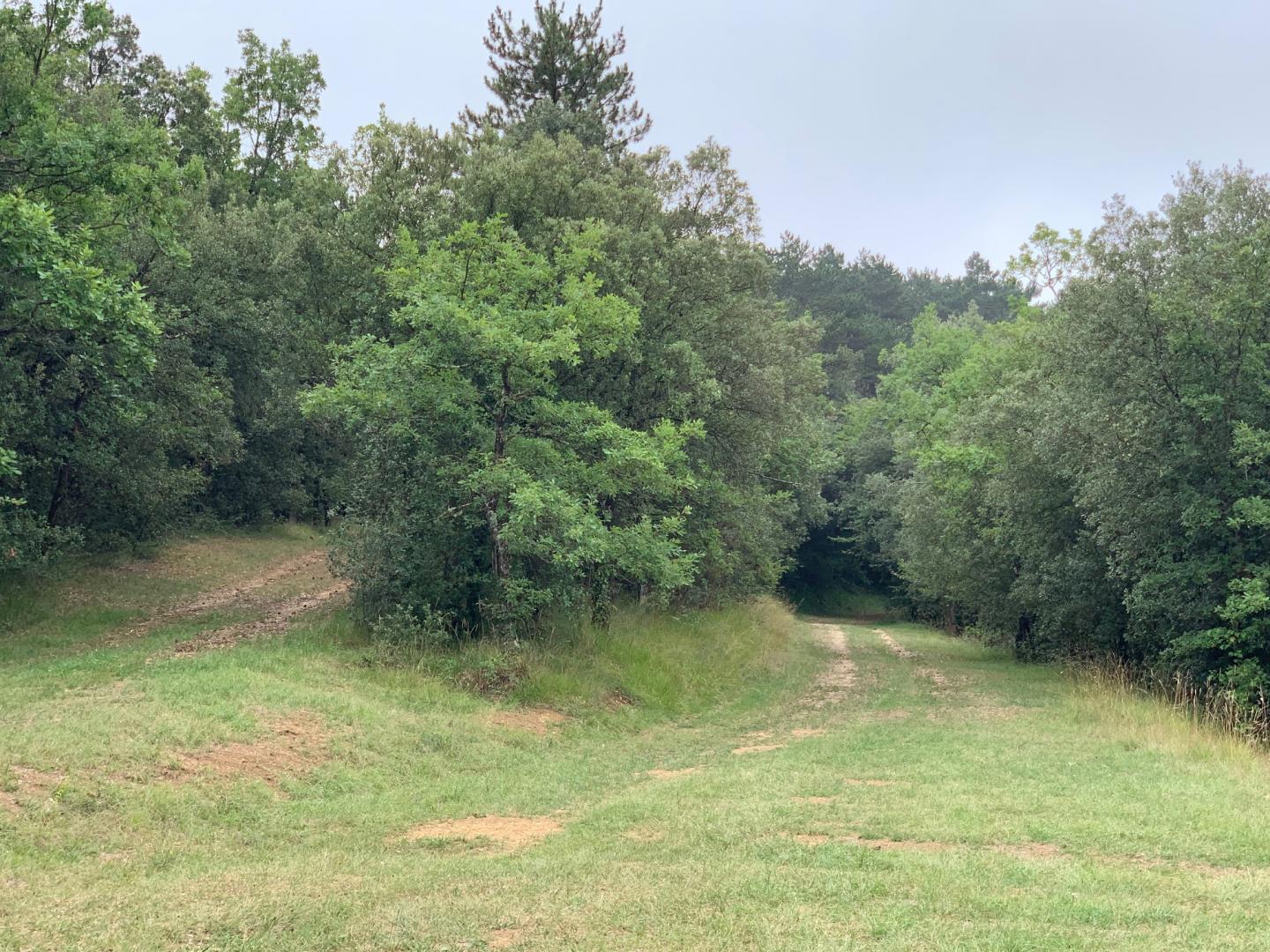 Teilhet - Vals - Bois de la Bélène - Manses