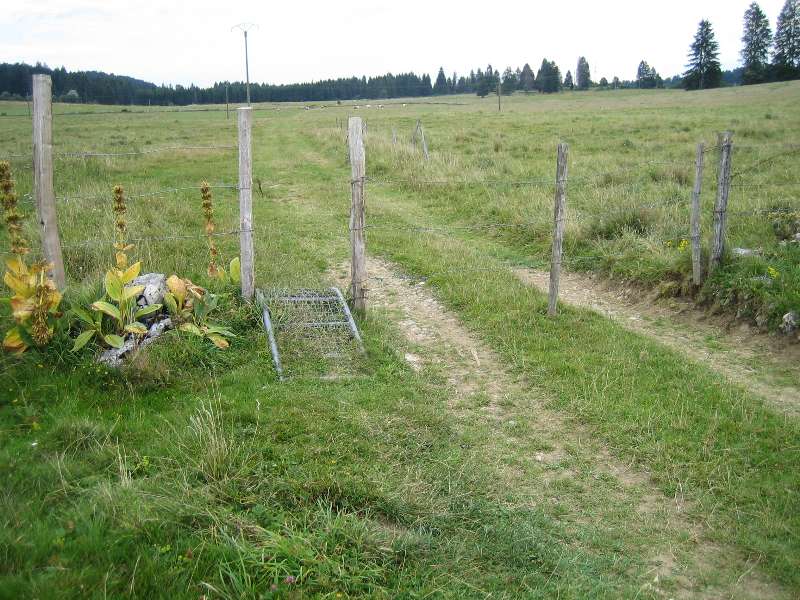 La Grande Traversée du Jura (GTJ)