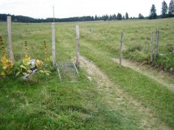 Passage VTT dans les paturages