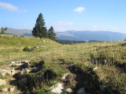 Vers la Pesse