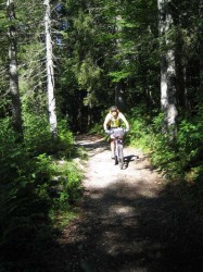 In the wood