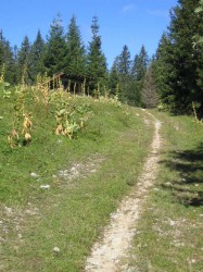 Vers la Chapelle-des-Bois