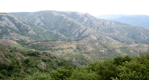 Forêt du Somail