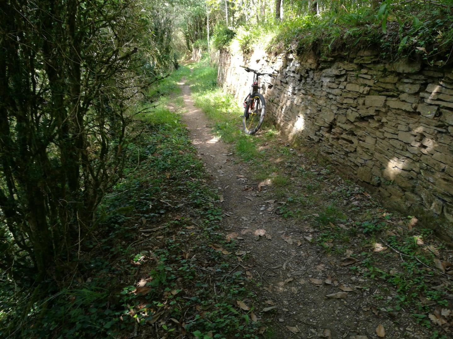 Fraissines - Trébas - Le Truel