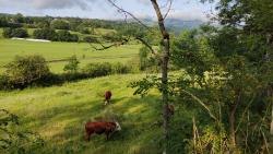 Vallée de Chaudefour