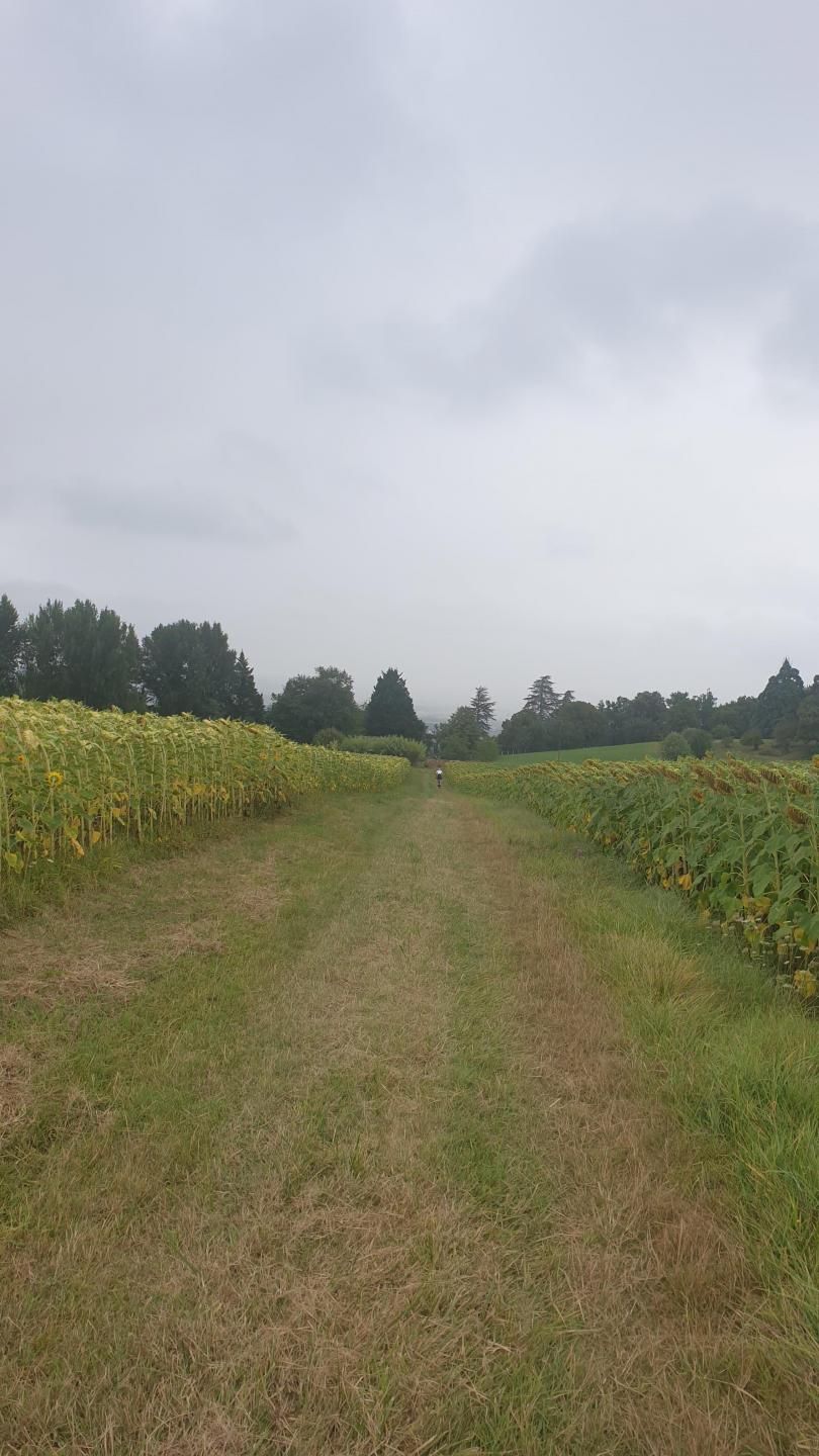 Randonnée de Saint-Urcisse 2021 - 27 km
