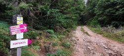 Début de l'ascension du Puy de Montoncel