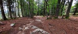 Bas de la descente du Puy de Montoncel