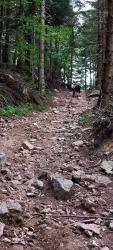 Fameuse montée raide et pierreuse au km 87