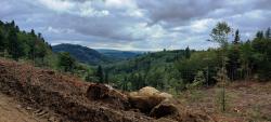 Paysage