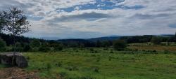 Vue vers le haut Forez