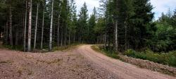 Nouvelle piste forestière de Montloup (franchissement du Ban)