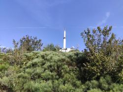 VTT-27833
