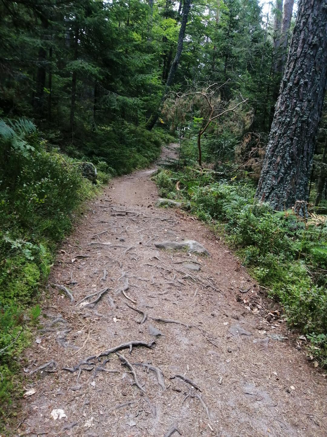 Les deux Pierres (Tremblante et Loup)