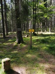 VTT-27868