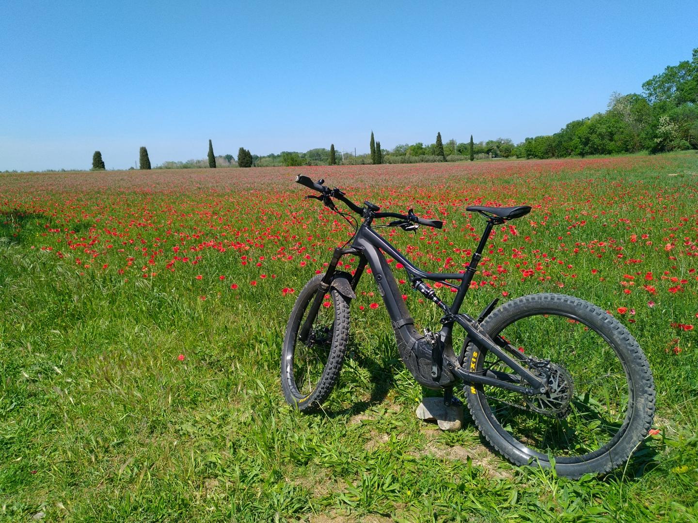 De Grans à l'étang de Berre