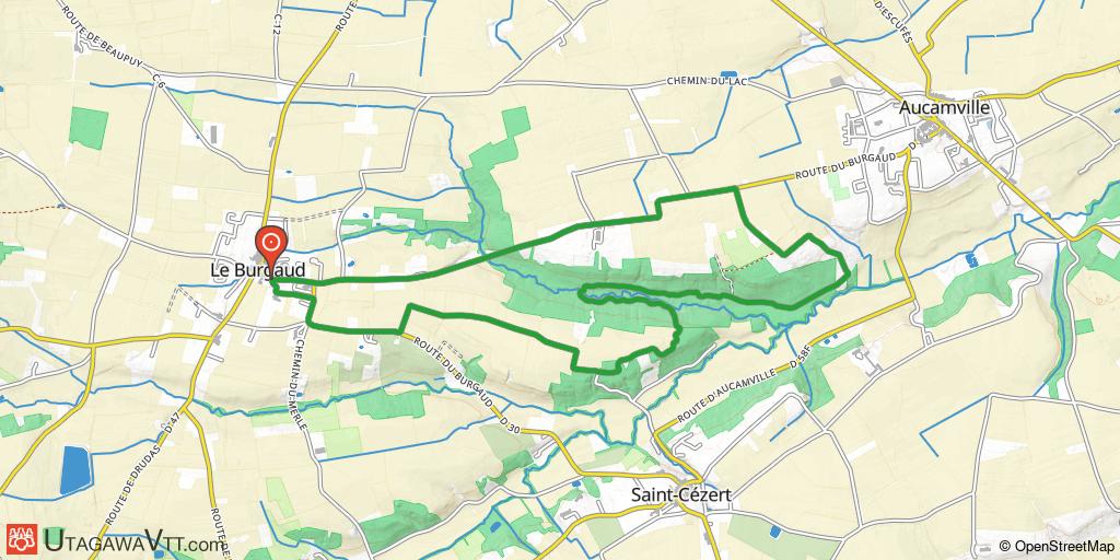Forêt d'Aucamville