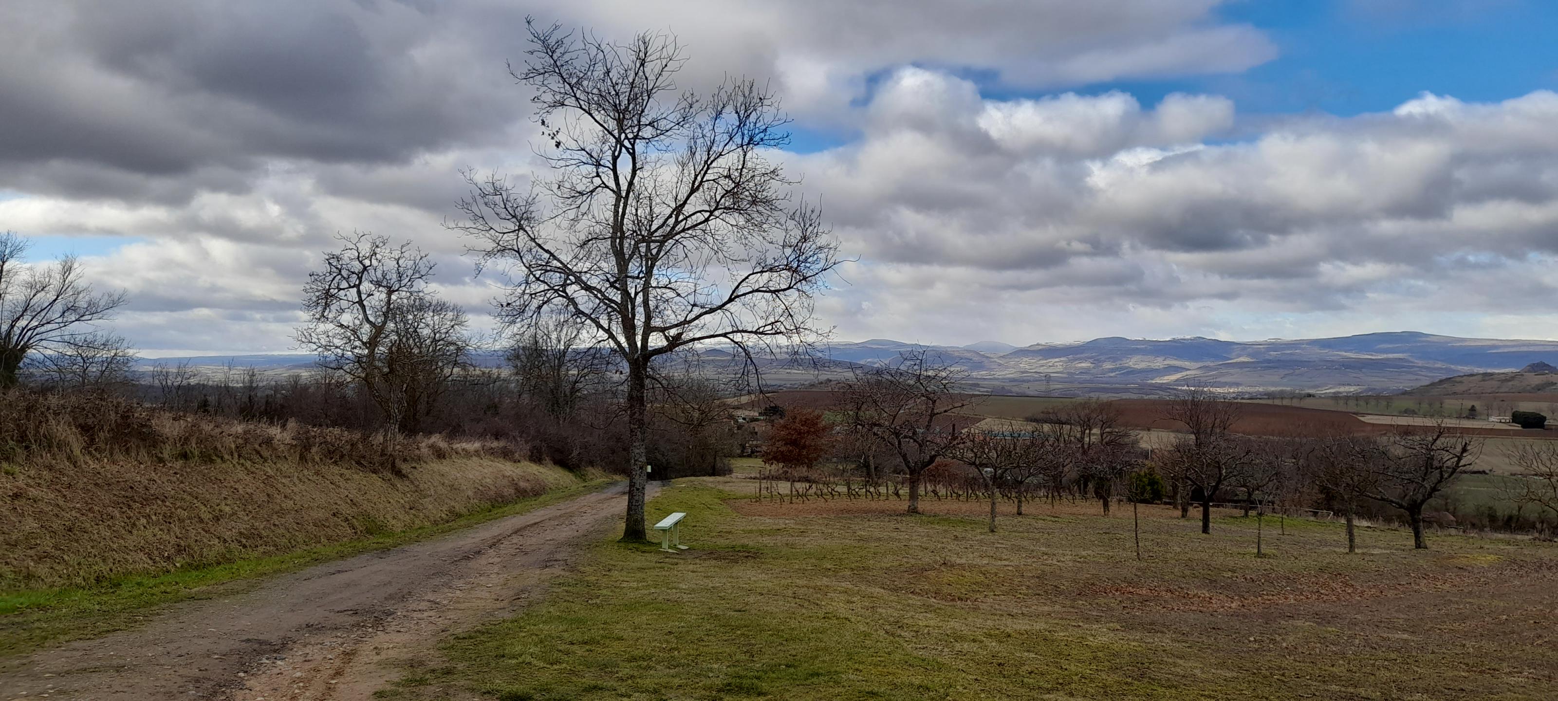 Champagnat-le-Jeune - Circuit N° 9 : Les rochers Montfaucon