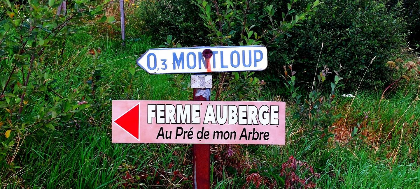 "Au Pré de mon Arbre" - Autour de Montloup