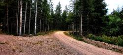 Nouvelle piste forestière de Montloup