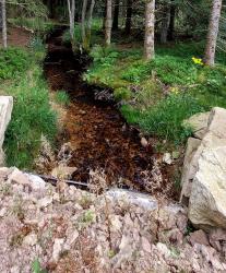 Nouvelle piste forestière de Montloup, passage sur le Ban (ruisseau)