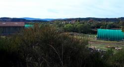 Les Faux, vue sur Montloup et les Monts du  Forez au loin