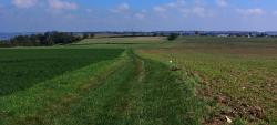 Champs et vue sur Naves