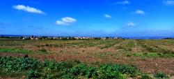 Vue sur Naves