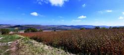 Paysage