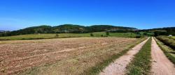 Paysage