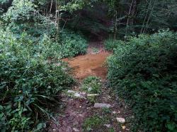 Gué du ruisseau de la Cèpe