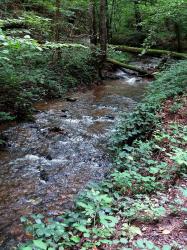 Ruisseau de la Veauce