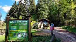 Lac des Sapins, la Forêt de l'Aventure (accrobranche)