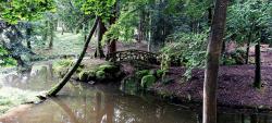 Dans le parc le Clos du Crêt