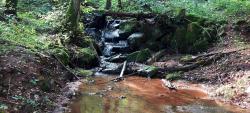 Ruisseau de Gondras