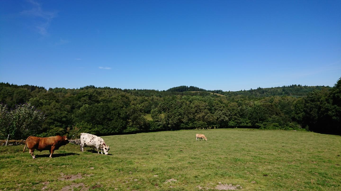 Entre Millevaches et Monédières