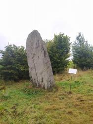 Menhir de la Pierre Longue.