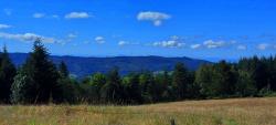Vue sur les éoliennes du chemin de la Ligue (Lavoine)
