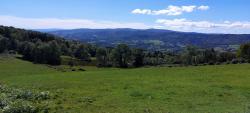 Paysage