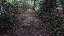 Chemin sympa