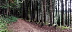 Chemin vers le viaduc