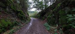Chemin taillé dans le rocher, après le viaduc du Chatelard (ancienne voie ferrée)